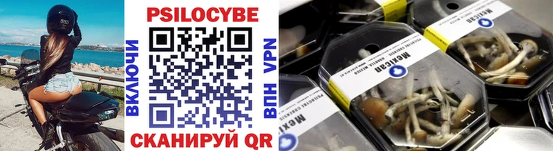 Купить закладки  Ипатово  Галлюциногенные грибы прущие грибы 